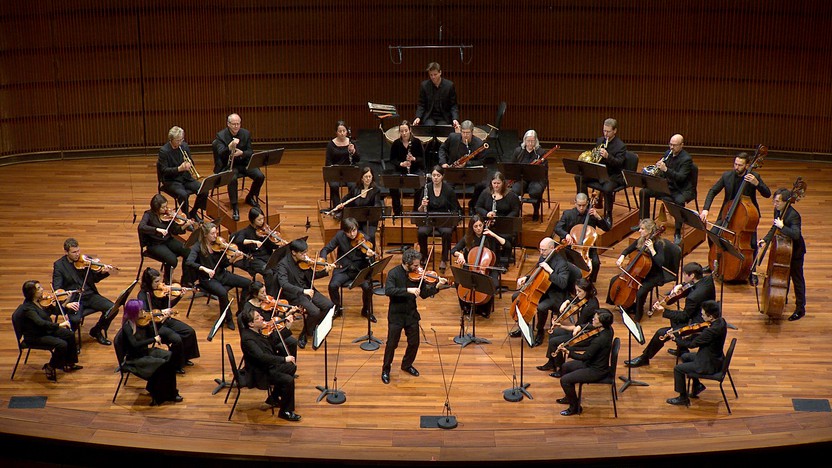 Steven Copes performs the Beethoven Violin Concerto