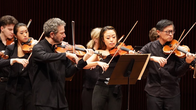 Violin Section